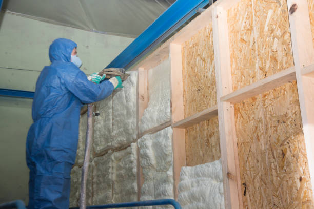 Insulation Inspection Services in Constantine, MI